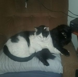 Meet your Posher, Colleen